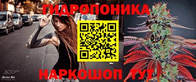мдпв Лесосибирск