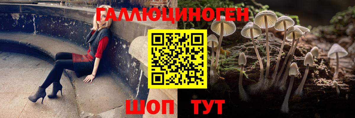 Урай  Псилоцибиновые грибы GOLDEN TEACHER  Вход с VPN 